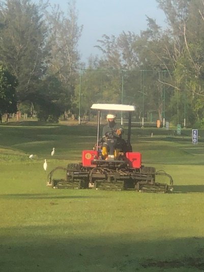 Fairway mowing