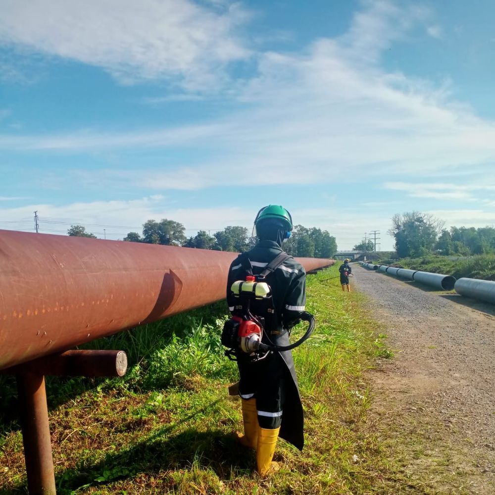 Grass cutting along a pipeline