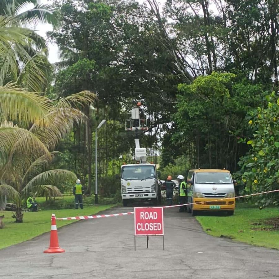 Road closed for safe tree work