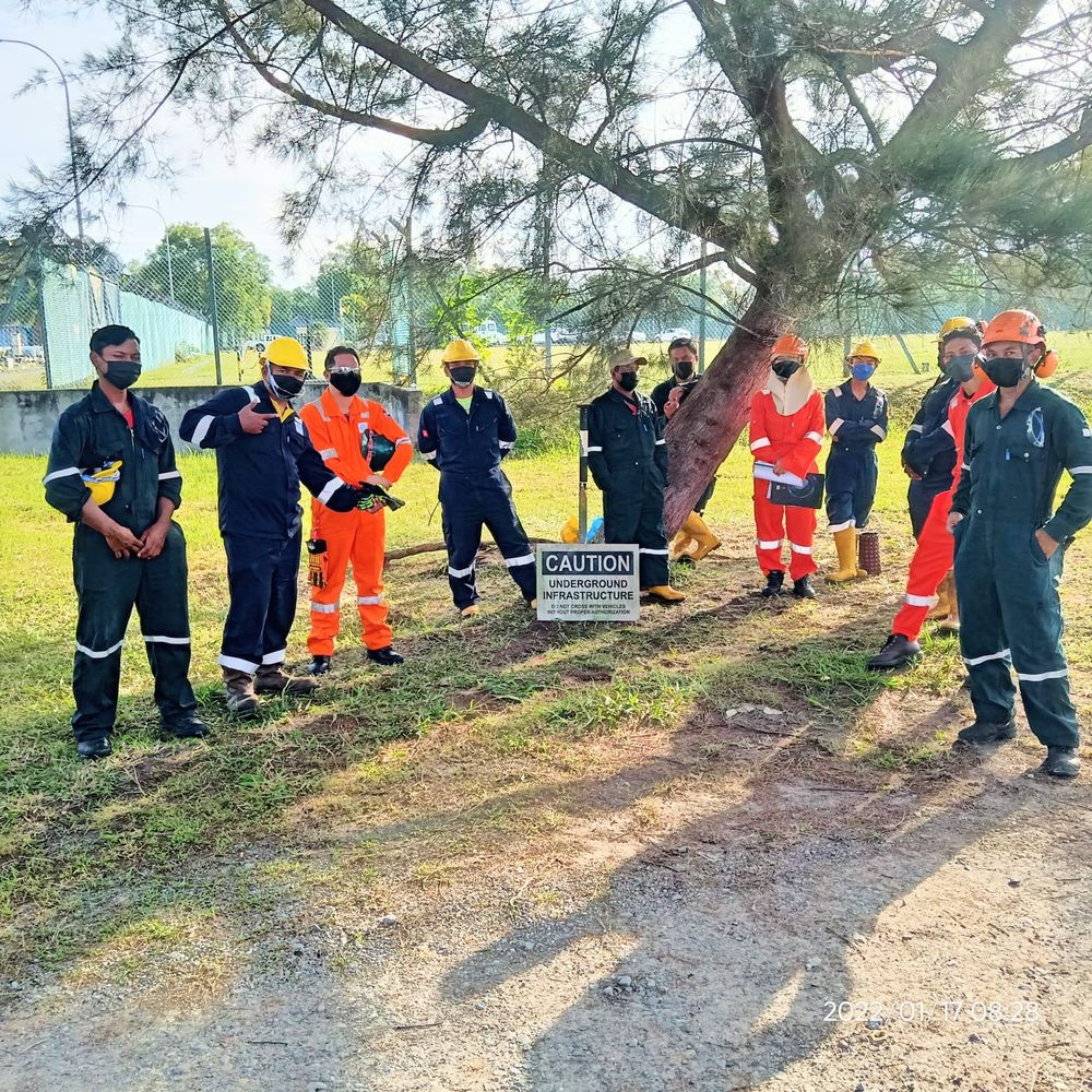 Our tree cutting crew