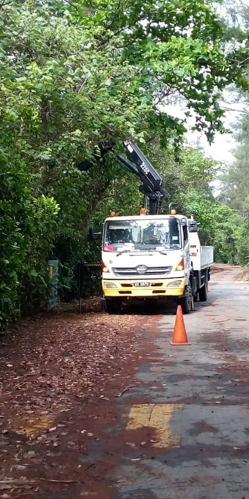 SHYT HIAB crane truck working on a roadside tree job